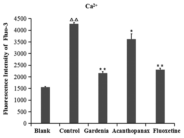 The effects of gardenia/acanthopanax-Medicated serum