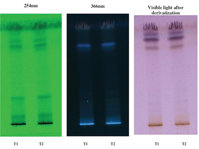  Thin-layer chromatography profile of mucilage