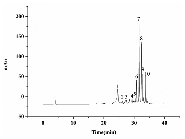 HPLC chromatogram of the 60% ethanol extracts from Morus alba L