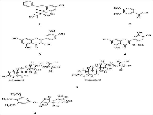The structure of isolated compounds from Bauhinia pottsii var. pottsii