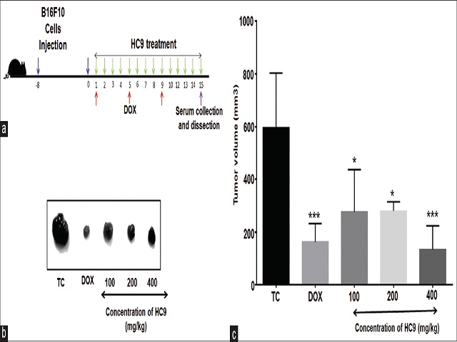 : HC9 retarded growth of subcutaneous melanoma tumors in C57BL/6 mice