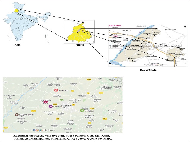 Map of the study area, Kapurthala district, Punjab, India