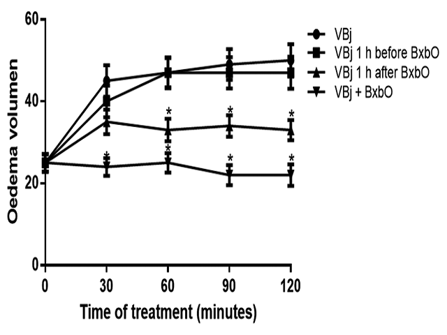 Effect of BxbO extract on edematogenic activity of venom of  Bothrops jararaca