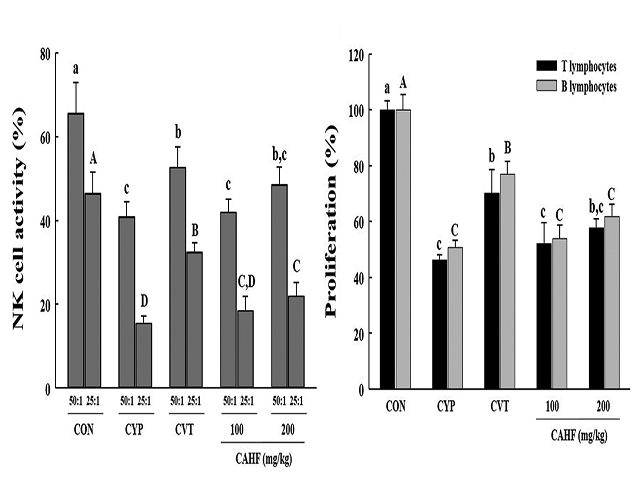Effects of high-molecular weight fraction of Cynanchum auriculatum on natural killer cell activity and splenic lymphocyte proliferation in  cyclophosphamide-induced immunosuppressed mice