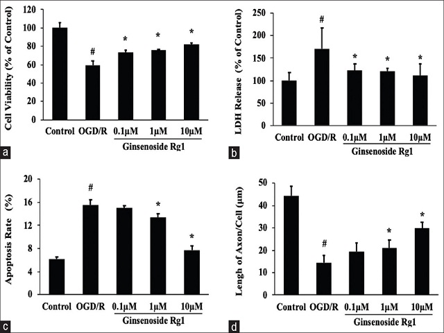  Protective effects of ginsenoside Rg1 on neurons after oxygen–glucose deprivation/reoxygenation injury