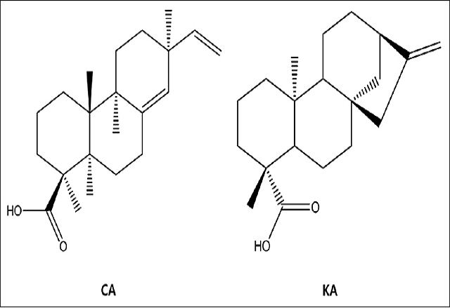 The chemical structures of two major compounds from Aralia continentalis