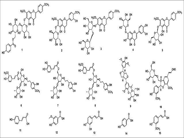  The isolated phenol compounds 1–15