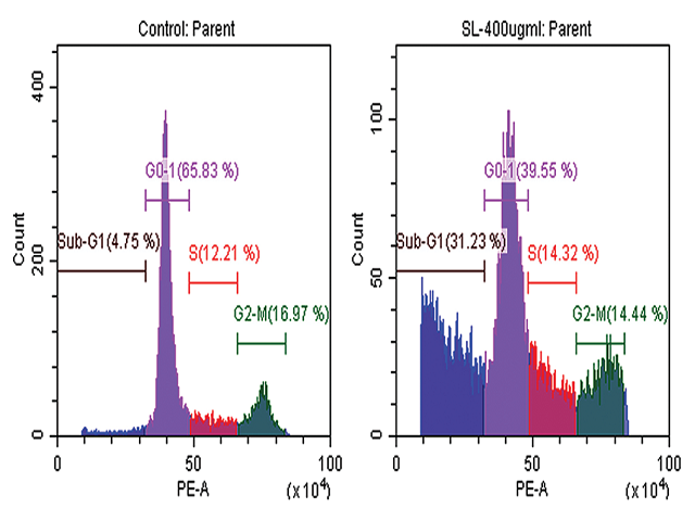 Chloroform fraction containing drug leads induces cell cycle arrest in Michigan Cancer Foundation‑7 cell lines