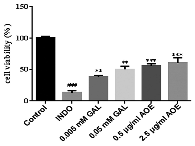 Cellular protective effect of AOE and GAL on INDO-induced RGM-1 cellular injury. After 18 h treatment, AOE and GAL accelerated the INDO-damaged RGM-1 cell proliferation. ###P < 0.001 compared with the control group; **P < 0.01, ***P < 0.001 compared with the model group. AOE: The extract of Alpinia officinarum;