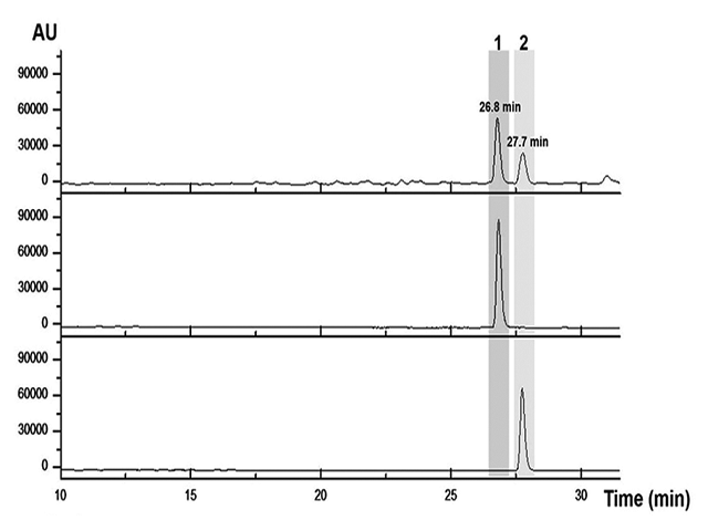 High‑performance liquid chromatography chromatogram of Carthami flos extract (a) and standard compounds (b: Rutin and c: Isoquercitrin) at a wavelength of 280 nm