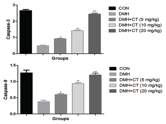 Effect of crocetin on the DNA fragmentation and CYP2E1 of control and experimental rats