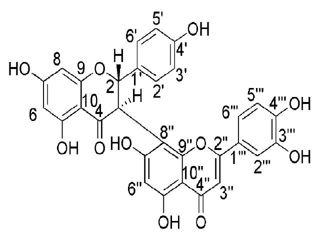 Structure of morelloflavone, an active compound of Garcinia schomburgkiana
