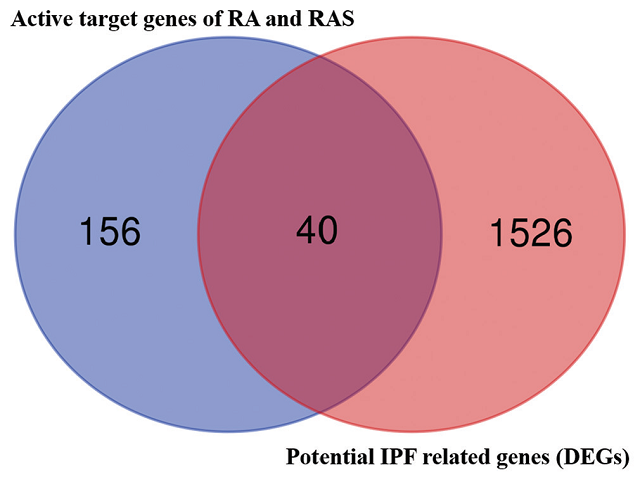 Candidate target genes of Radix Astragali and Radix Angelicae sinensis acting on idiopathic pulmonary fibrosis.