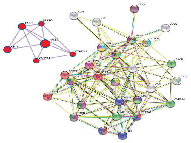 Protein‑protein interaction network and MCODE components identified in the gene lists.(a)The protein–protein interaction network based on targets of Cyclocarya paliurus on NASH.(b) Network nodes represent different proteins. Edges represent protein‑protein associations, the line thickness indicates the strength of data support. Protein–protein interaction