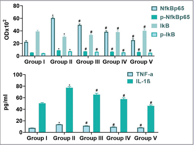 Effect of arbutin on the NF-κBp65/IκBα signaling-related  cytokines