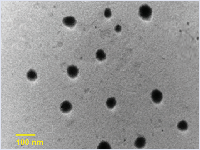 Transmission electron micrograph of CLB-2 (as a representative  formulation)