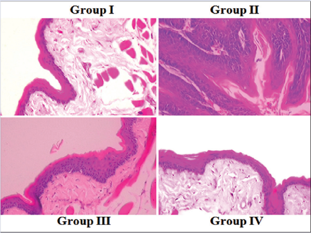 Effect of BTN on histopathology of buccal mucosa