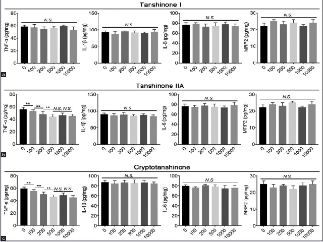 Effects of main tanshinones of S. miltiorrhiza on NF-κB/MRP2 axis