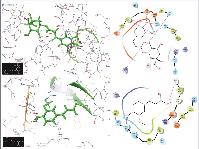 Molecular structure representation of docked poses of chlorogenic acid and ferulic acid in the respective binding pocket of PI3K