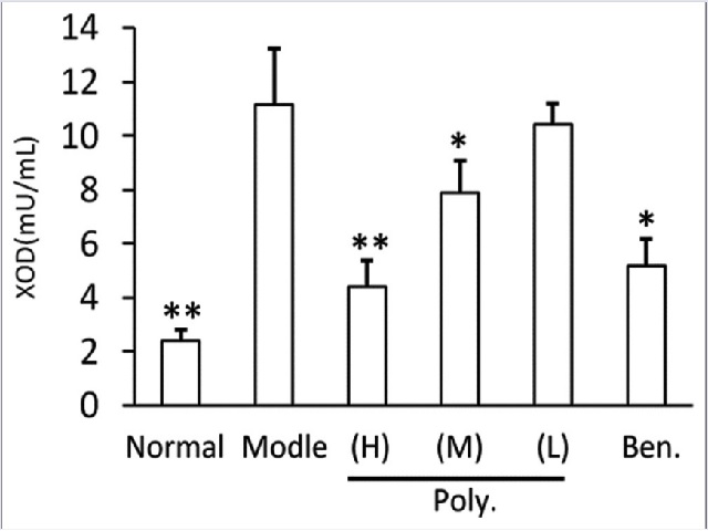 Effects of polydatin on liver XOD activity