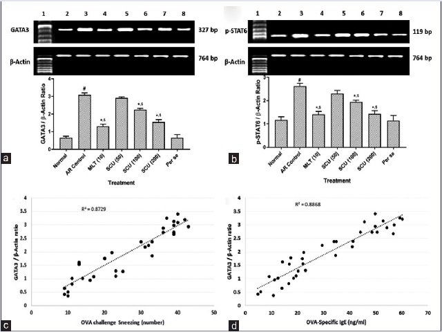 Effect of SCU treatment on OVA-induced alterations in spleen GATA3 (a) and p-STAT6 (b) mRNA expressions in AR mice.