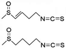  Chemical structures of sulforaphene (a) and sulforaphane (b)