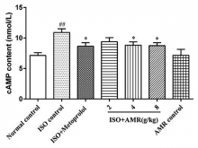 Effects of AMR on the content of cAMP in ISO-induced  mice