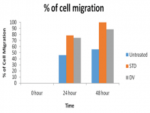 Results of the scratch assay: Percentage of cells migrated