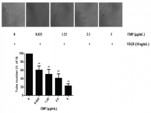 Cordyceps militaris fraction inhibits vascular endothelial growth factor-induced tube formation of human umbilical vein endothelial cells in vitro