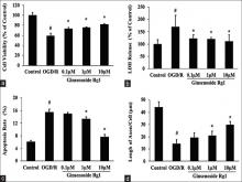  Protective effects of ginsenoside Rg1 on neurons after oxygen–glucose deprivation/reoxygenation injury