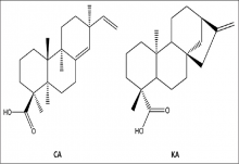 The chemical structures of two major compounds from Aralia continentalis