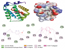 Molecular docking analysis of the interaction between anethole and carvone with Bcl‑2 protein.