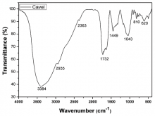 Fourier‑transform infrared spectra (400 to 4000 cm−1) of aqueous extract Miconia albicans leaves in water extracts