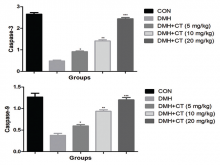 Effect of crocetin on the DNA fragmentation and CYP2E1 of control and experimental rats