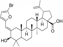 Chemical structure of betulinic acid chalcone