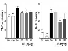 The effects of LIB on tumor necrosis factor‑α and interleukin‑6 levels of bronchoalveolar lavage fluid in a mouse model of pulmonary fibrosis.