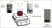 Diagrammatic representation of extract-mediated synthesis of silver nanoparticles