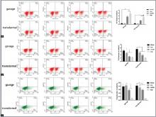  Flow cytometry analysis of the number of immune cells in the spleen