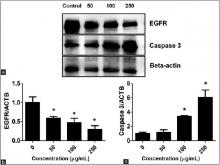 O. Indicum effects on EFGR and caspase 3 protein expression in CCA cells
