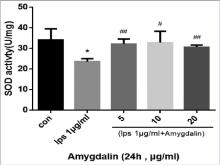  Effects of amygdalin on SOD production in BV2 cells detected 