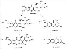 Possible metabolic pathways of mangiferin