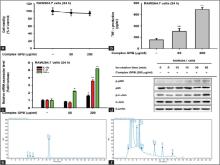 Immunostimulatory effects of Complex GPB in vitro in promoting the expression levels of TNF-a
